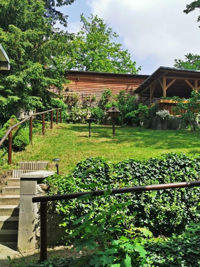 Pension Ginko Wernigerode Ngoại thất bức ảnh